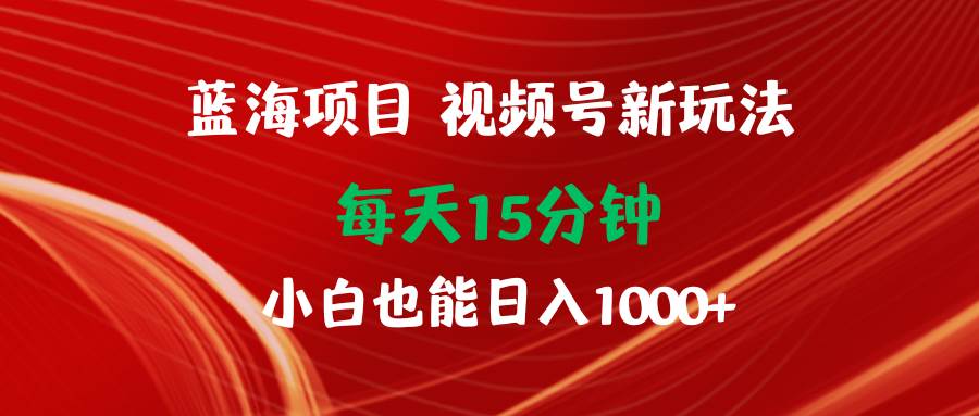 蓝海项目视频号新玩法 每天15分钟 小白也能日入1000+-南风轻创