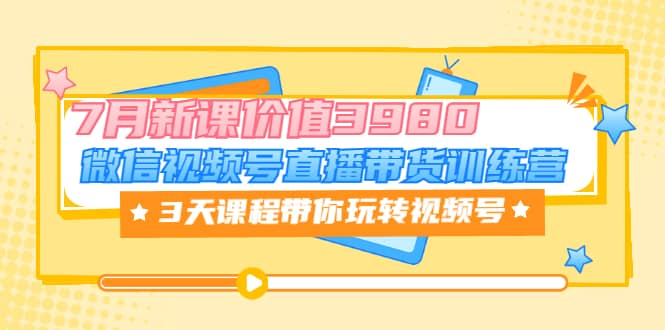 微信视频号直播带货训练营，3天课程带你玩转视频号：7月新课价值3980-南风轻创