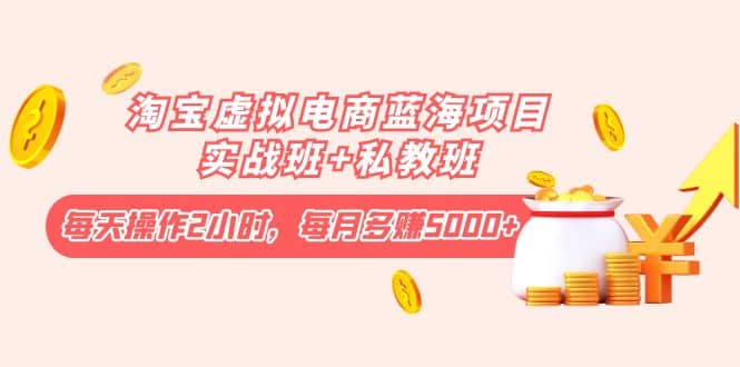 淘宝虚拟电商蓝海项目实战班+私教班-南风轻创