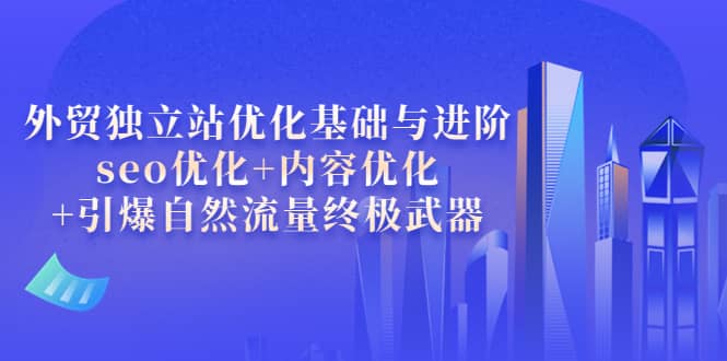 外贸独立站优化基础与进阶，seo优化+内容优化+引爆自然流量终极武器-南风轻创