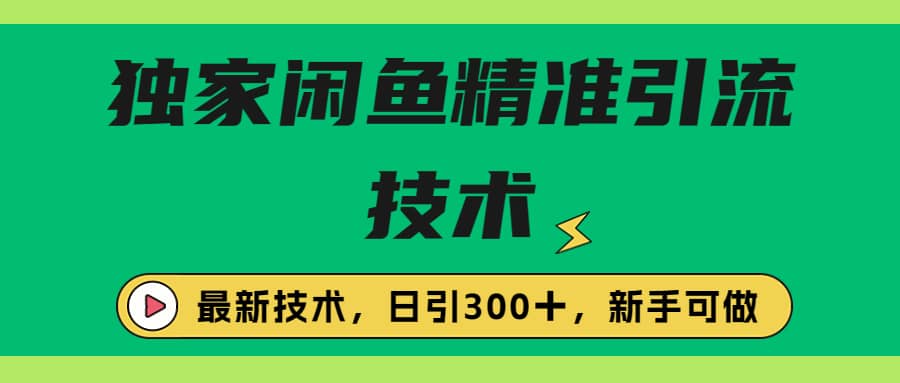 独家闲鱼引流技术，日引300＋实战玩法-南风轻创