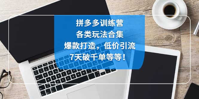 拼多多训练营：各玩法合集，爆款打造，低价引流，7天破千单等等-南风轻创