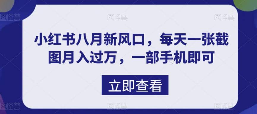 八月新风口，小红书虚拟项目一天收入1000+，实战揭秘-南风轻创