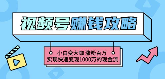 玩转微信视频号赚钱：小白变大咖涨粉百万实现快速变现1000万的现金流-南风轻创