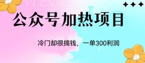 冷门公众号加热项目，一单利润300+-南风轻创