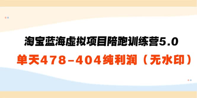 淘宝蓝海虚拟项目陪跑训练营5.0：单天478纯利润（无水印）-南风轻创