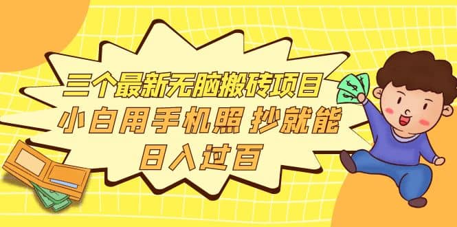 三个最新无脑搬砖项目，小白用手机照抄就能日入过百-南风轻创