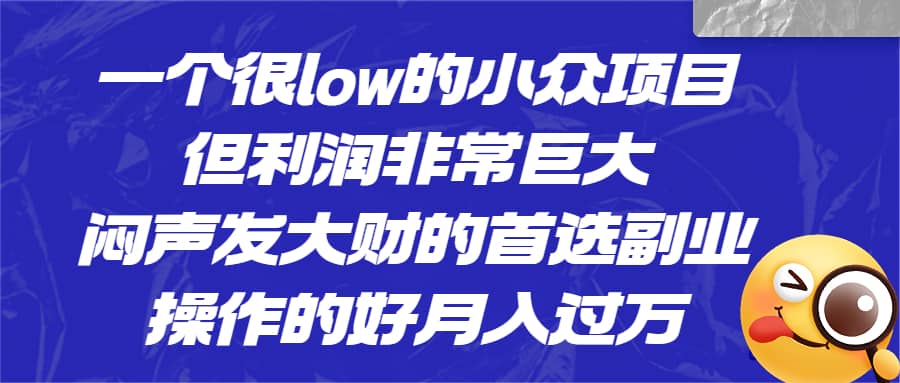 一个很low的小众项目，但利润非常巨大，闷声发大财的首选副业，月入过万-南风轻创