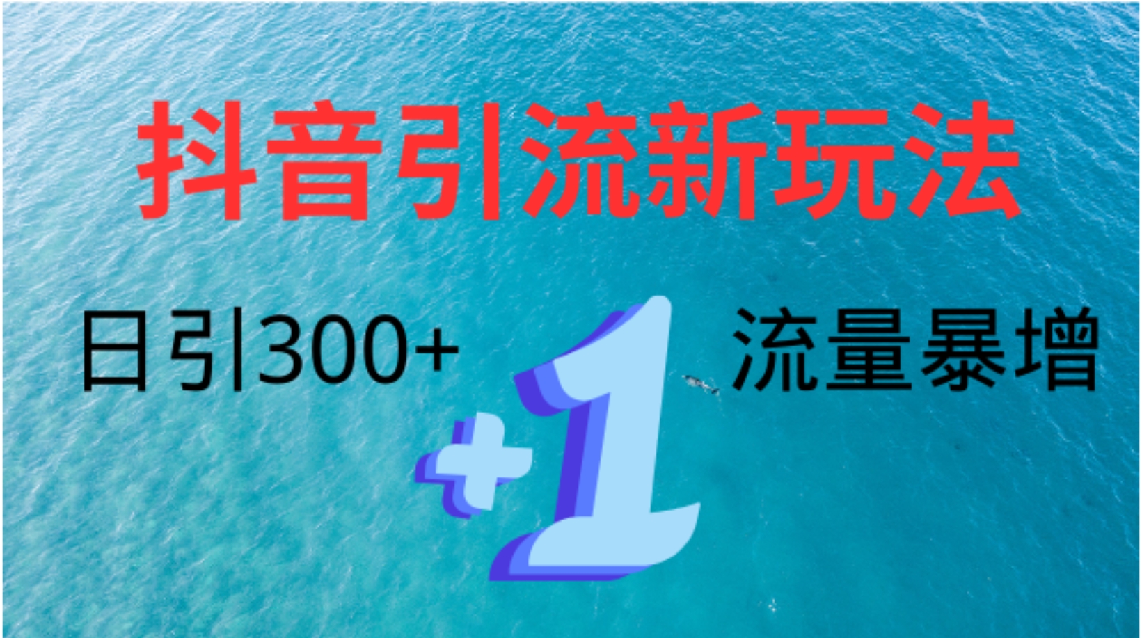 创业粉高效引流，抖音工具号玩法4.0，日引300+-南风轻创