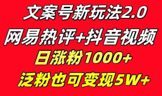 文案号新玩法 网易热评+抖音文案 一天涨粉1000+ 多种变现模式 泛粉也可变现-南风轻创