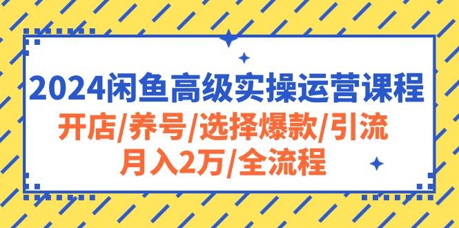 2024闲鱼高级实操运营课程：开店/养号/选择爆款/引流/月入2万/全流程-南风轻创