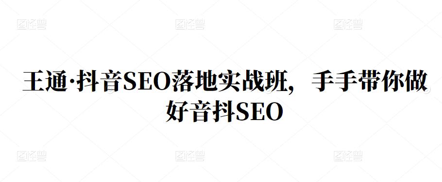 王通·抖音SEO落地实战班，手‬手带你做好音抖‬‬SEO-南风轻创