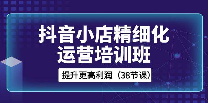 抖音小店-精细化运营培训班，提升更高利润（38节课）-南风轻创