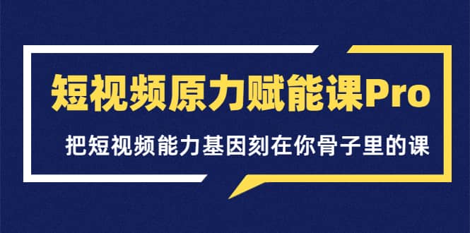 短视频原力赋能课Pro，把短视频能力基因刻在你骨子里的课（价值4999元）-南风轻创