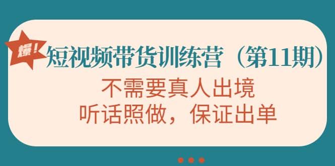 短视频带货训练营（第11期），不需要真人出境，听话照做，保证出单-南风轻创