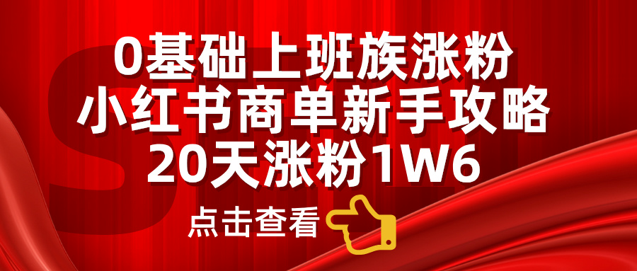 0基础上班族涨粉，小红书商单新手攻略，20天涨粉1.6w-南风轻创