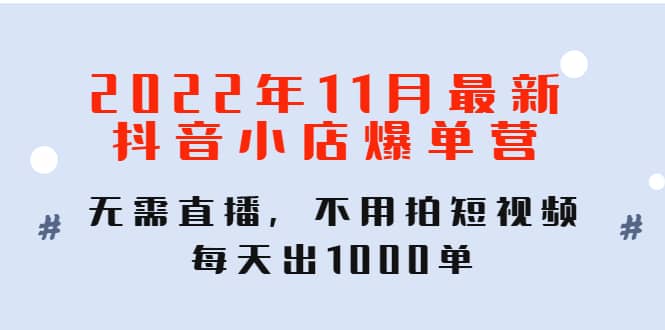 2022年11月最新抖音小店爆单训练营：无需直播，不用拍短视频，每天出1000单-南风轻创