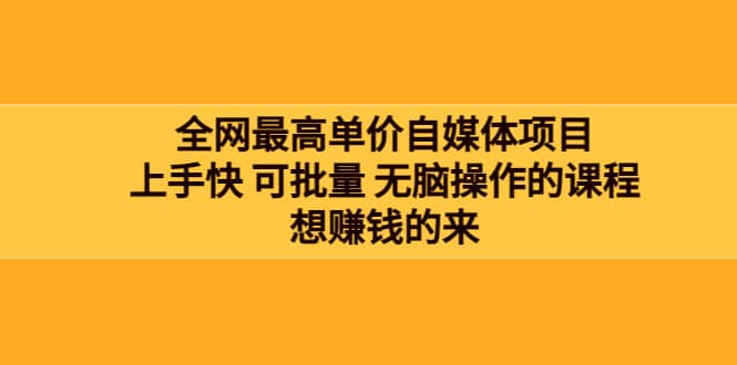 全网最单高价自媒体项目：上手快 可批量 无脑操作的课程，想赚钱的来-南风轻创