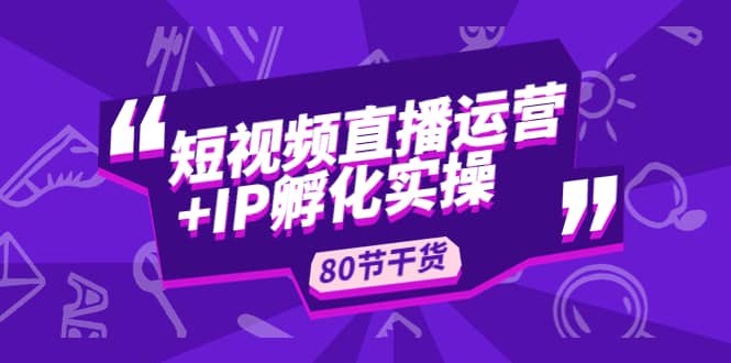 短视频直播运营+IP孵化实战：80节干货实操分享-南风轻创