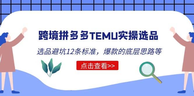 跨境拼多多TEMU实操选品运营方法，选品避坑12条标准，爆款的底层思路等-南风轻创