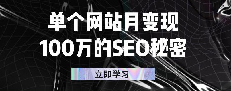 单个网站月变现100万的SEO秘密，百分百做出赚钱站点-南风轻创