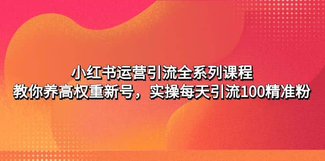 小红书运营引流全系列课程：教你养高权重新号-南风轻创