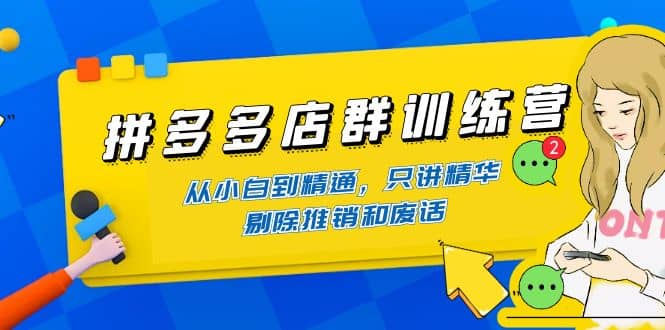 拼多多店群训练营：从小白到精通，只讲精华，剔除推销和废话-南风轻创