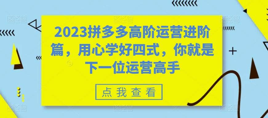 2023拼多多高阶运营进阶篇，用心学好四式，你就是下一位运营高手-南风轻创