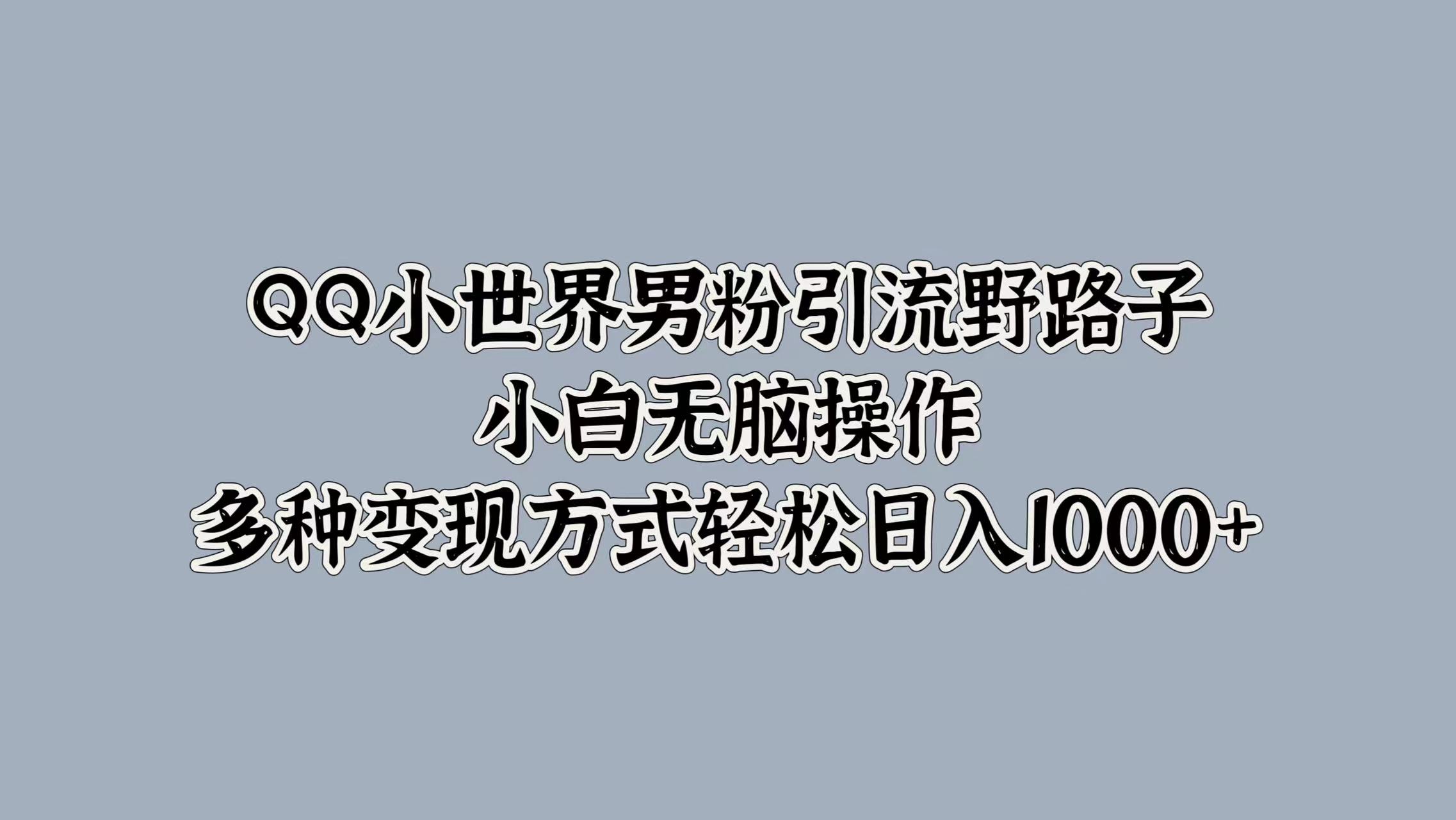 QQ小世界男粉引流野路子，小白无脑操作，多种变现方式轻松日入1000+-南风轻创