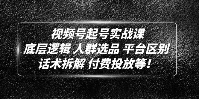 视频号起号实战课：底层逻辑 人群选品 平台区别 话术拆解 付费投放等-南风轻创
