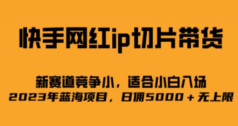 快手网红ip切片新赛道，竞争小事，适合小白 2023蓝海项目-南风轻创