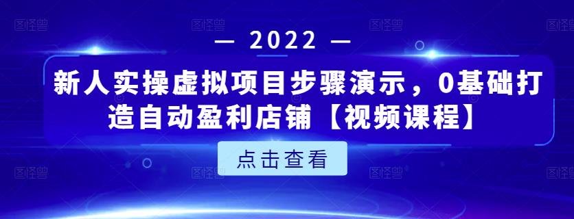 新人实操虚拟项目步骤演示，0基础打造自动盈利店铺【视频课程】-南风轻创