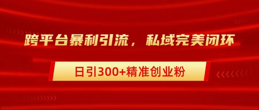 跨平台暴力引流，私域完美闭环，日引300+精准创业粉-南风轻创