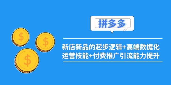 2022拼多多：新店新品的起步逻辑+高端数据化运营技能+付费推广引流能力提升-南风轻创