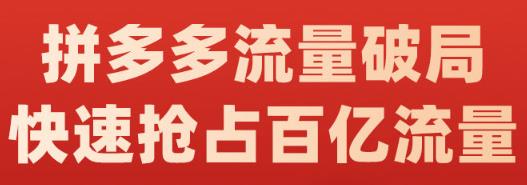 阿杰·拼多多流量破局:如何打黑标，爆款的思路，拼多多流量框架，快速抢占百亿流量-南风轻创