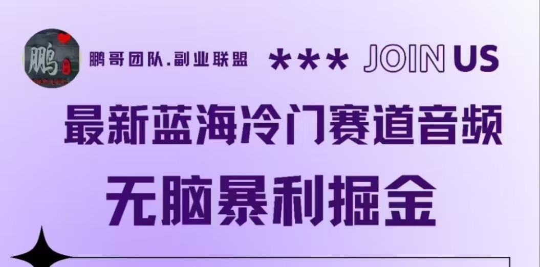 最新蓝海冷门赛道音频，无脑暴利掘金-南风轻创