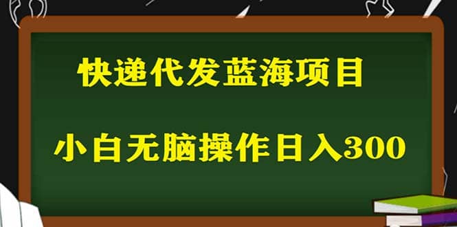 2023最新蓝海快递代发项目，小白零成本照抄-南风轻创