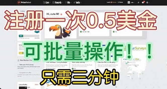 国外项目注册一次0.5美金 只需三分钟无脑操作 可批量放大 小白工作室福利-南风轻创