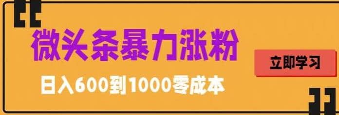 微头条暴力涨粉技巧搬运文案就能涨几万粉丝，简单0成本，日赚600-南风轻创