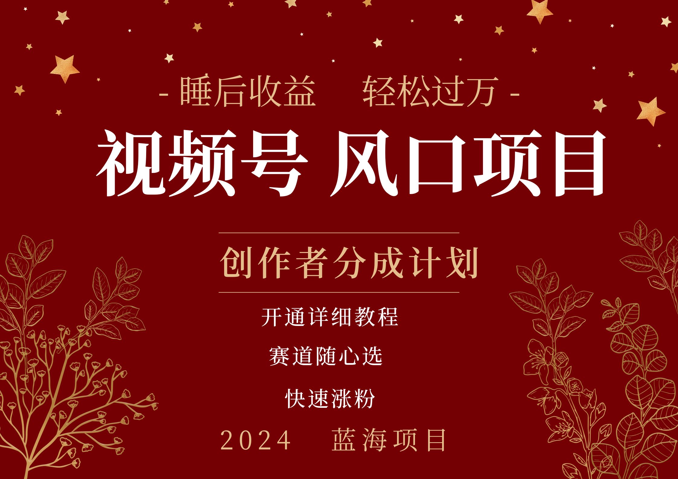 拥有睡眠收益的微信视频号大风口项目，轻松月入过万+，多赛道选择，可矩阵，玩法简单轻松上手-南风轻创