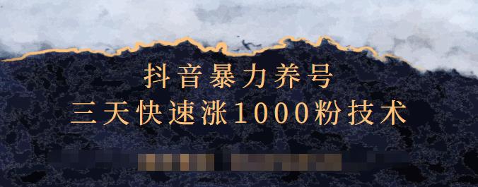 抖音暴力养号，三天快速涨1000粉技术【视频课程】-南风轻创