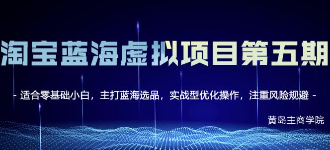 淘宝虚拟无货源3.0+4.0+5.0，适合零基础小白，主打蓝海选品，实战型优化操作-南风轻创
