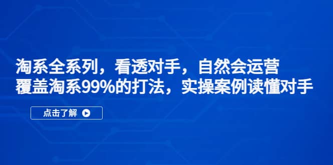 淘系全系列，看透对手，自然会运营，覆盖淘系99%·打法，实操案例读懂对手-南风轻创