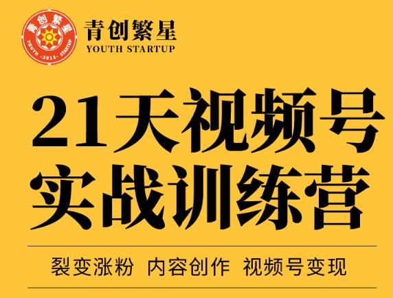 张萌21天视频号实战训练营，裂变涨粉、内容创作、视频号变现 价值298元-南风轻创