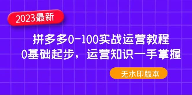 2023拼多多0-100实战运营教程，0基础起步，运营知识一手掌握（无水印）-南风轻创