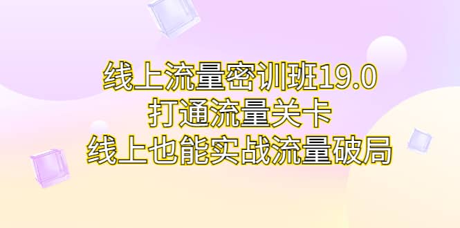 线上流量密训班19.0，打通流量关卡，线上也能实战流量破局-南风轻创
