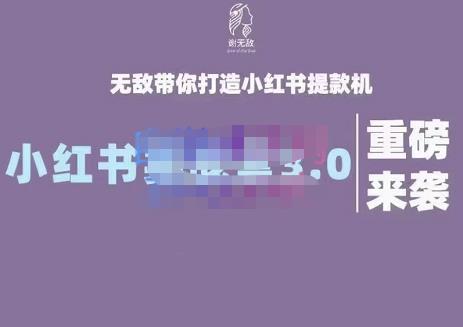 谢无敌·小红书实战营3.0，无敌带你打造小红书提款机 价值7999元-南风轻创