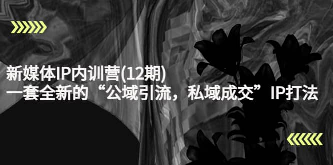 新媒体IP内训营(12期)，一套全新的“公域引流，私域成交”IP打法，直接带走-南风轻创