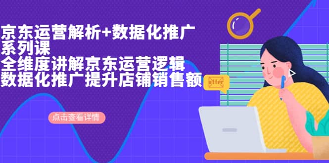 京东运营解析与数据化推广系列课，全维度讲解京东运营逻辑+数据化推广提升店铺销售额-南风轻创
