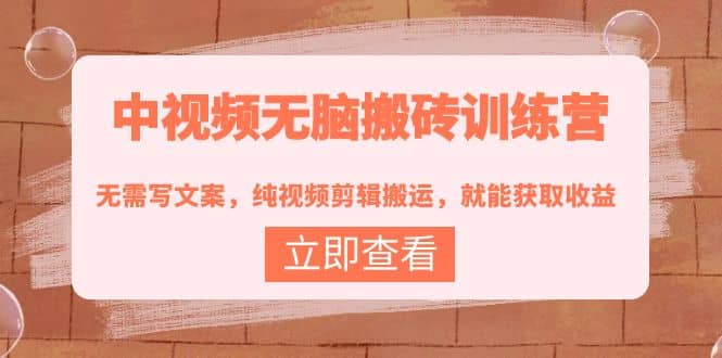 中视频无脑搬砖训练营：无需写文案，纯视频剪辑搬运，就能获取收益-南风轻创